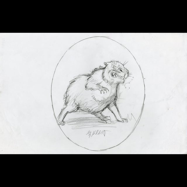 Crazed Capybara - Harry Potter - Greg Hildebrandt - 116672 Comic Art